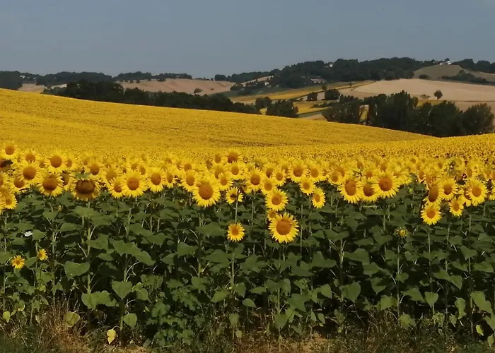 Séjour chez l'habitant Saint-gervais