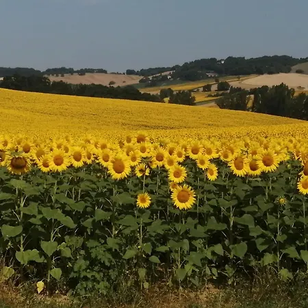 民宿 Saint-gervais